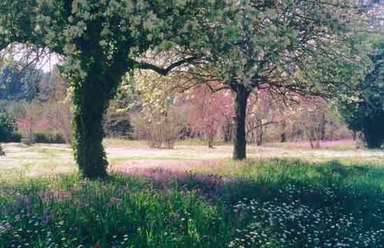 Frühling in Olympia