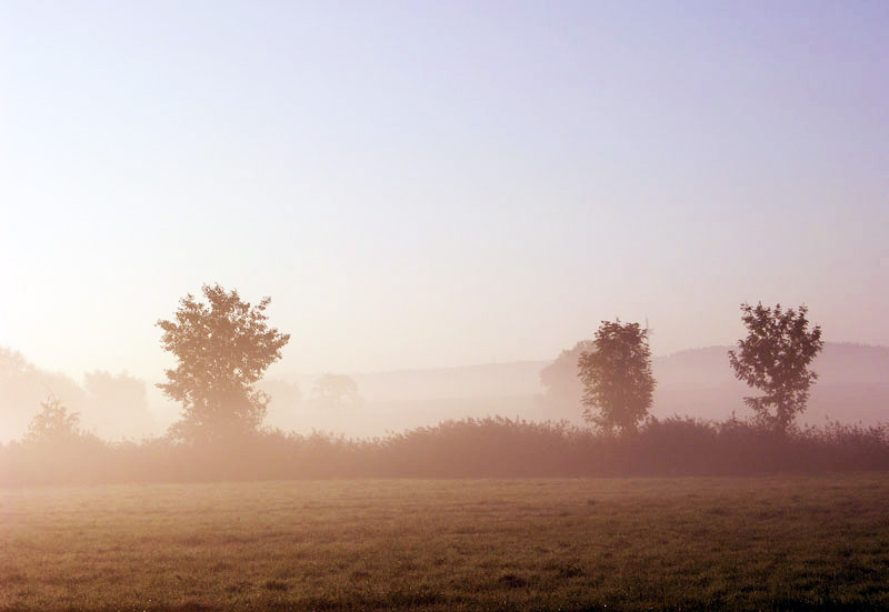 Landschaft bei Mallersdorf-Pfaffendorf