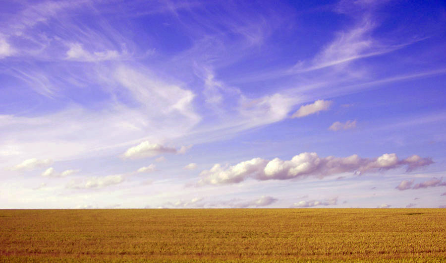 Landschaft bei Mallersdorf